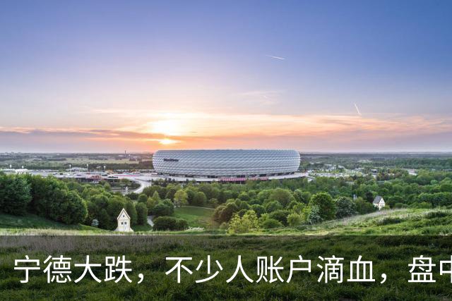 宁德大跌，不少人账户滴血，盘中一度跌了 12%，网上一片哀嚎。