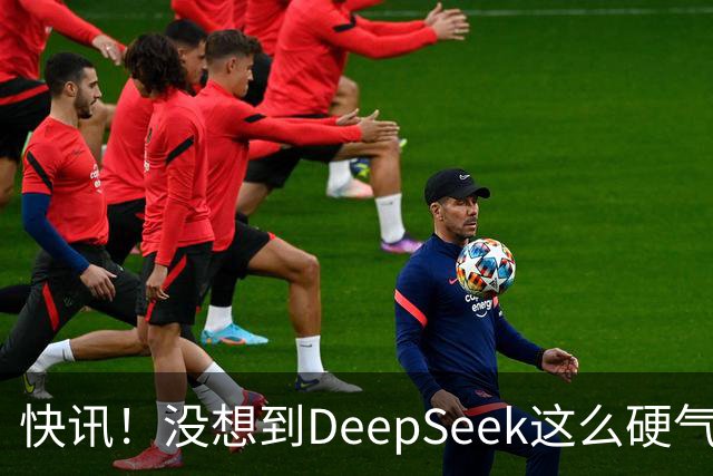 快讯！没想到DeepSeek这么硬气！