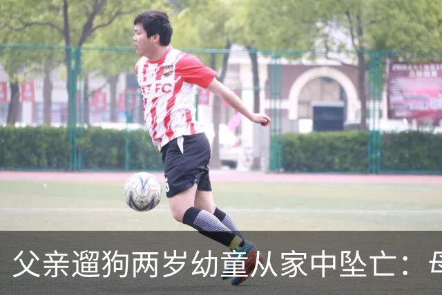 父亲遛狗两岁幼童从家中坠亡：母亲报案“过失致人死亡”未获立案，称将申请立案监督